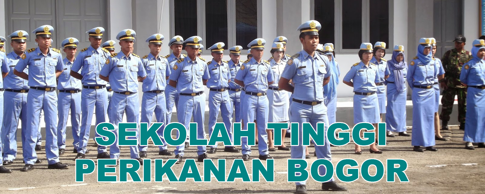 sekolah tinggi perikanan bogor